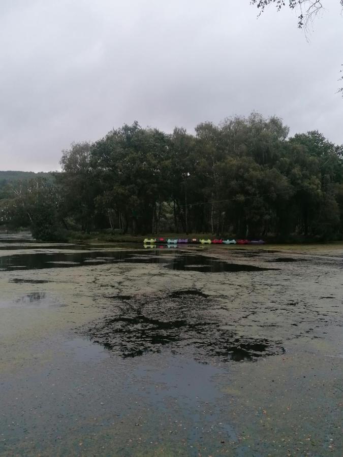Les Gites De L'Etang De La Foret Brandivy Exteriör bild
